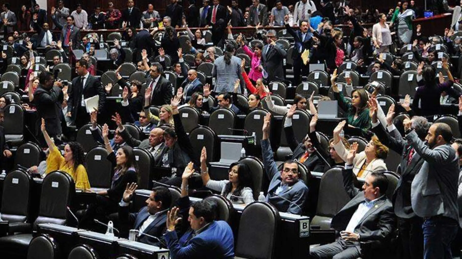 diputados camara